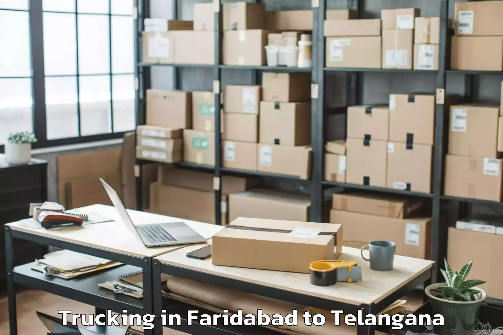 Leading Faridabad to Nelakondapalle Trucking Provider